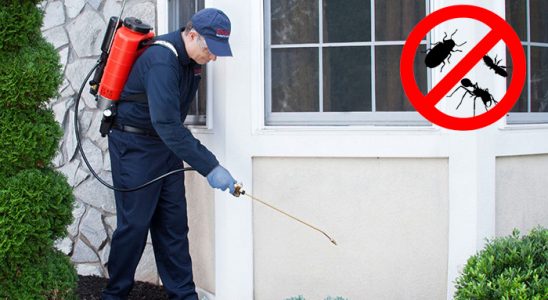 Dumlupınar Hamam Böceği İlaçlama böcek ilaçlama ve haşere kontrolü — ilaclama-tr.com